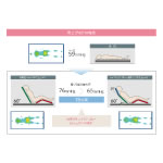 褥瘡リスクの低減（背上げ60°の場合）